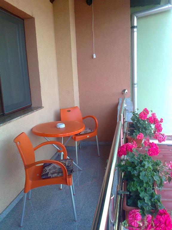 Pensiunea Select Arad Quarto foto